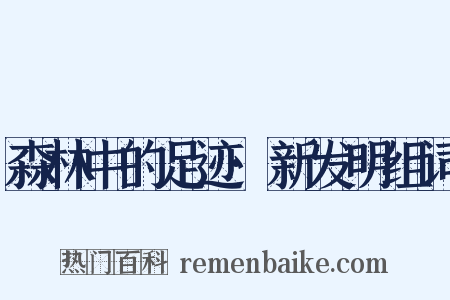 森林中的足迹·新发明组词是什么意思的图片